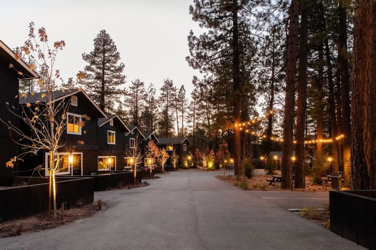N+P Boutique Lodge, a dog-friendly hotel in Big Bear Lake, California