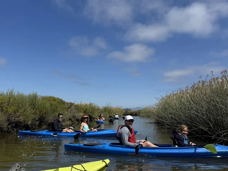 Napa Valley Paddle, a dog-friendly river recreation spot in Napa, California
