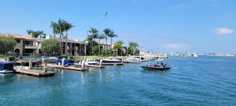 Newport Beach, a dog-friendly beach in Newport Beach, California