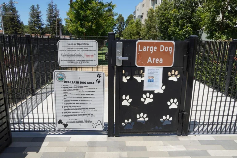 Nuevo dog park (small) Google Places photo