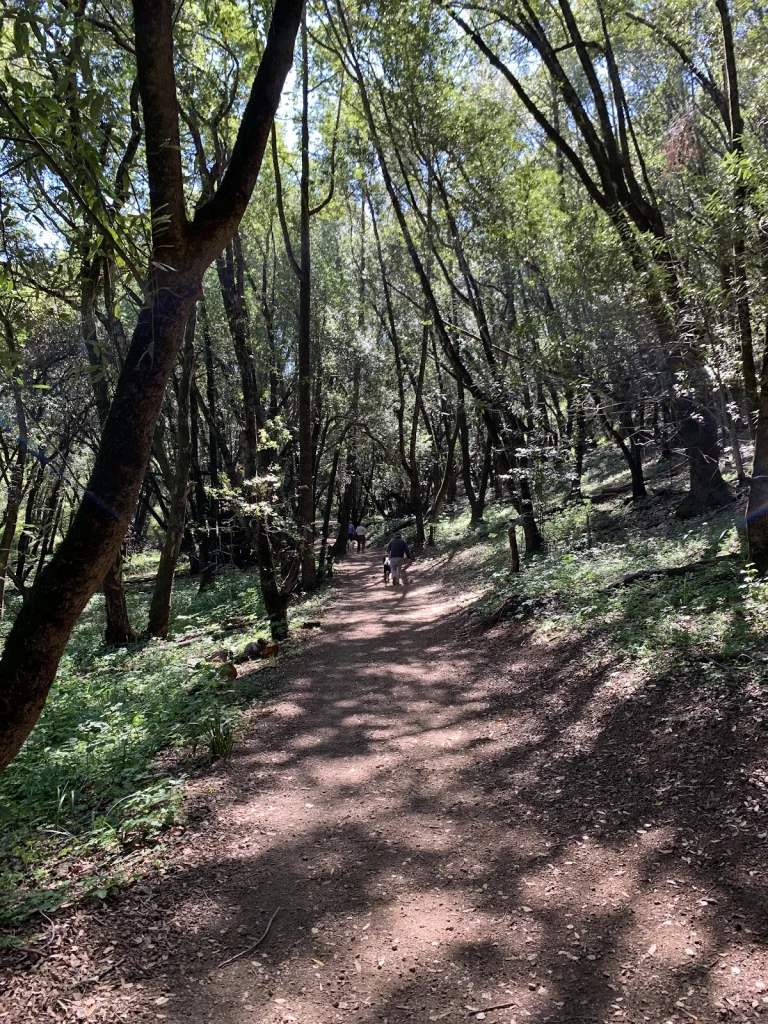 O’Hair Park, a dog-friendly park in Novato, California