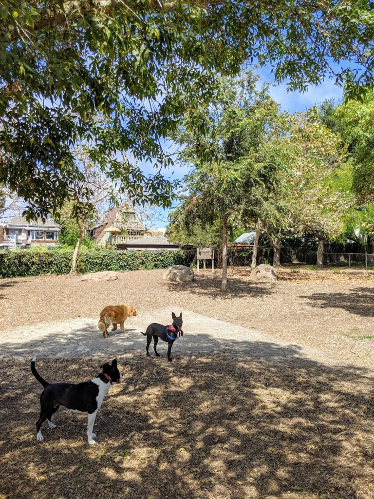 Ohlone Dog Park, a dog-friendly dog park in Berkeley, California