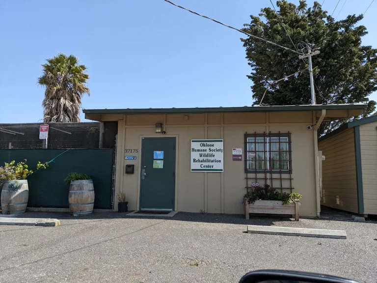 Ohlone Humane Society, a dog-friendly animal rescue in Fremont, California