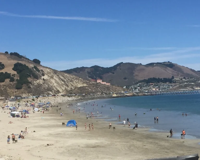 Olde Port Beach, a dog-friendly beach in Avila Beach, California