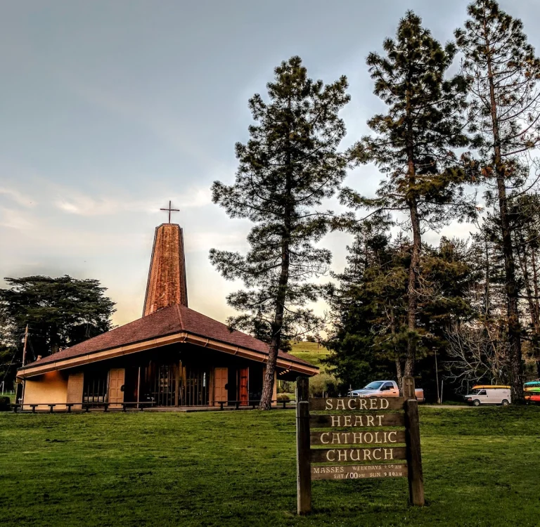 Olema Campground, a dog-friendly campground in Olema, California