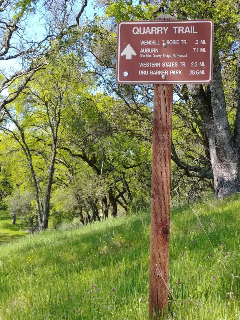 Olmstead Loop Trail, a dog-friendly hiking trail in Cool, California
