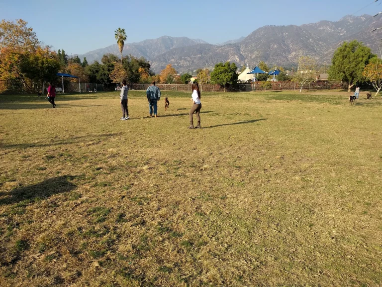 Orange Grove Dog Park