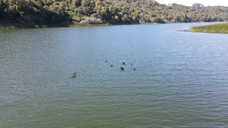 Oursan Trail, a dog-friendly hiking trail in Orinda, California