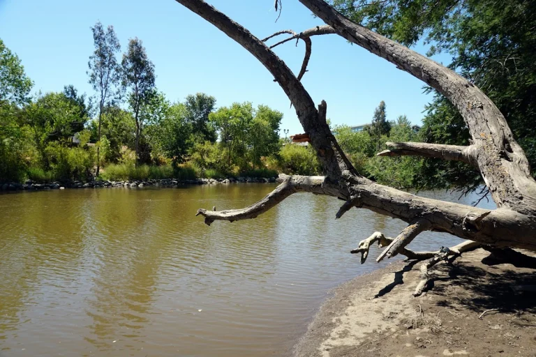 Oxbow Preserve