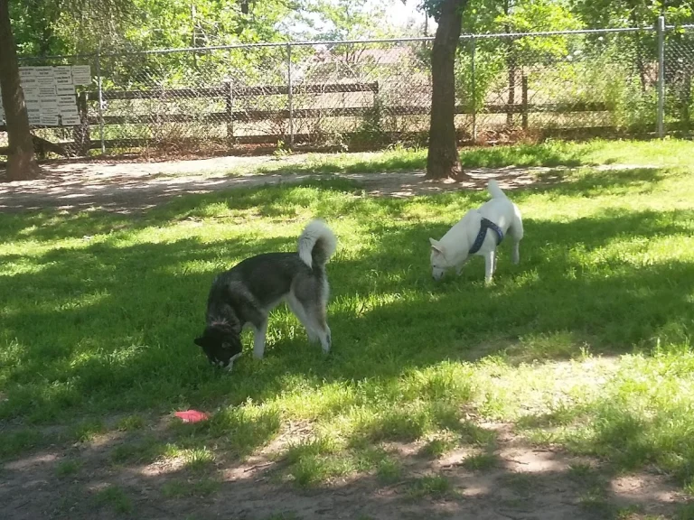 P.O.O.C.H. Dog Park