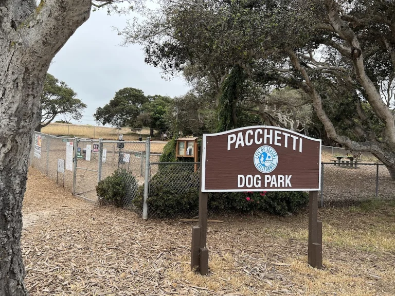 Pacchetti Dog Park