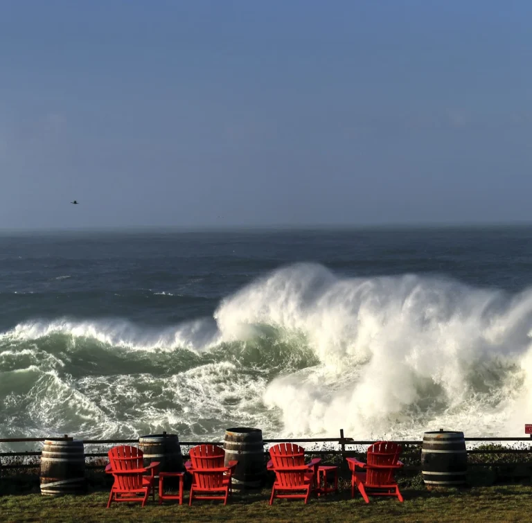 Pacific Star Winery, a dog-friendly winery in Fort Bragg, California