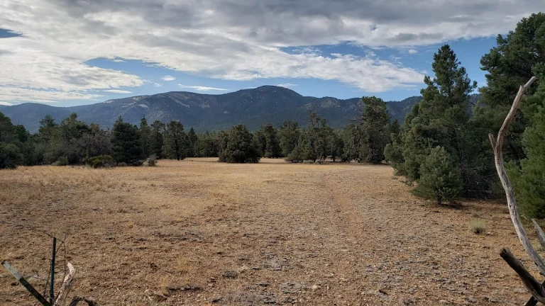 Pebble Plains, a dog-friendly attraction in Big Bear Lake, California