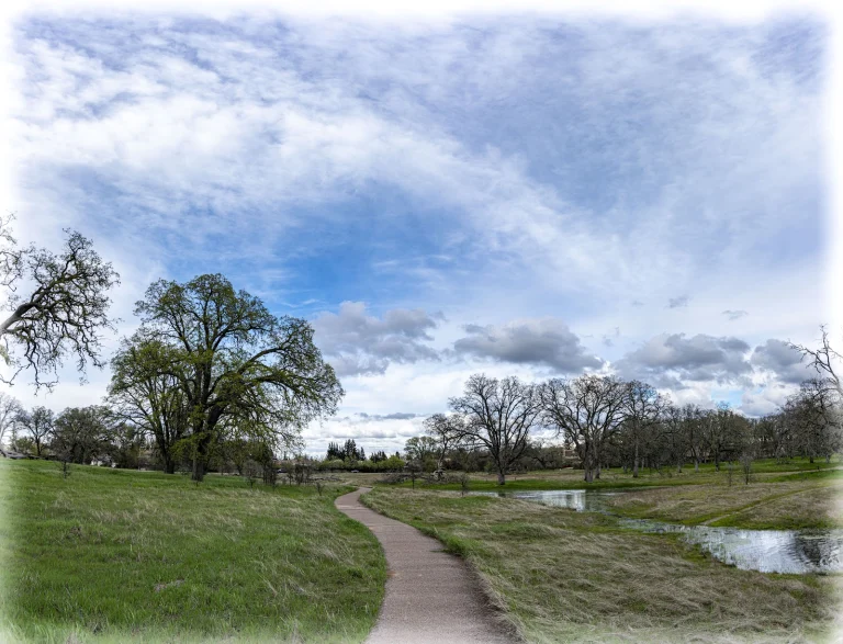 Phenix Dog Park Google Places photo