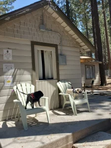 Pine Haven Cottages