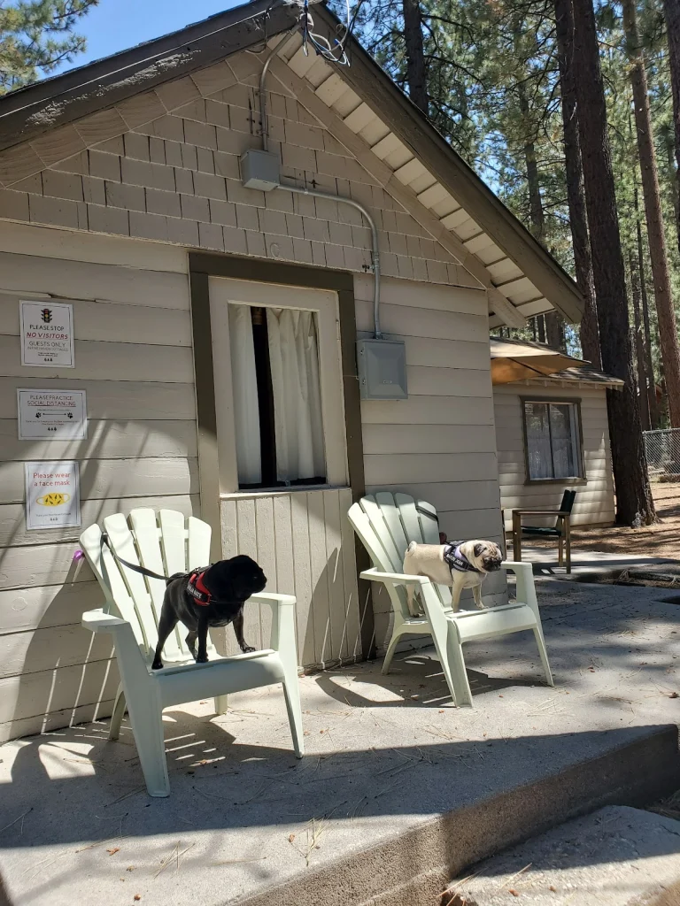 Pine Haven Cottages