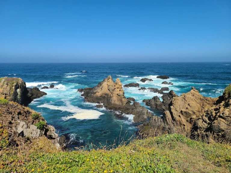 Pomo Bluffs Park, a dog-friendly hiking trail in Fort Bragg, California