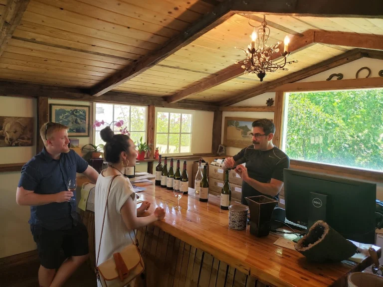 Porter Creek Vineyards, a dog-friendly winery in Healdsburg, California
