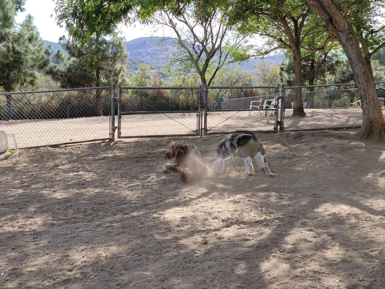 Rancho Bernardo Dog Park
