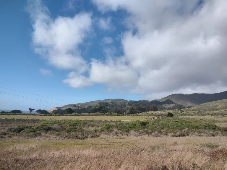 Rancho Corral de Tierra, a dog-friendly park in Moss Beach, California