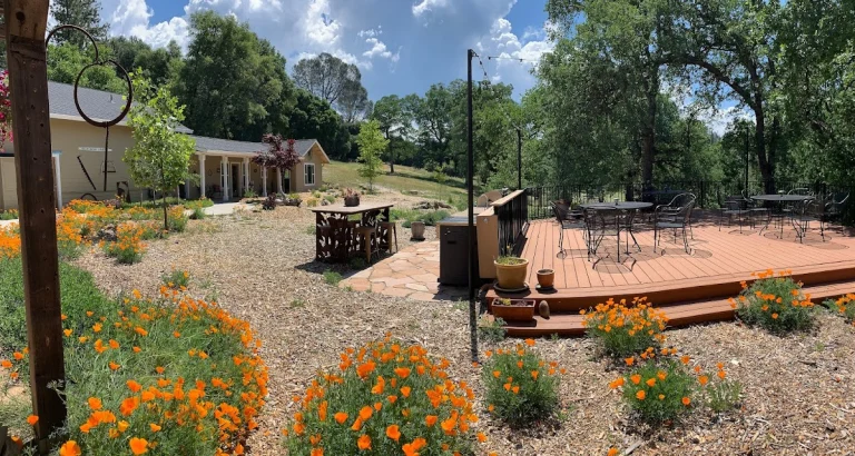 Red Tail Ranch, a dog-friendly hotel in Groveland, California