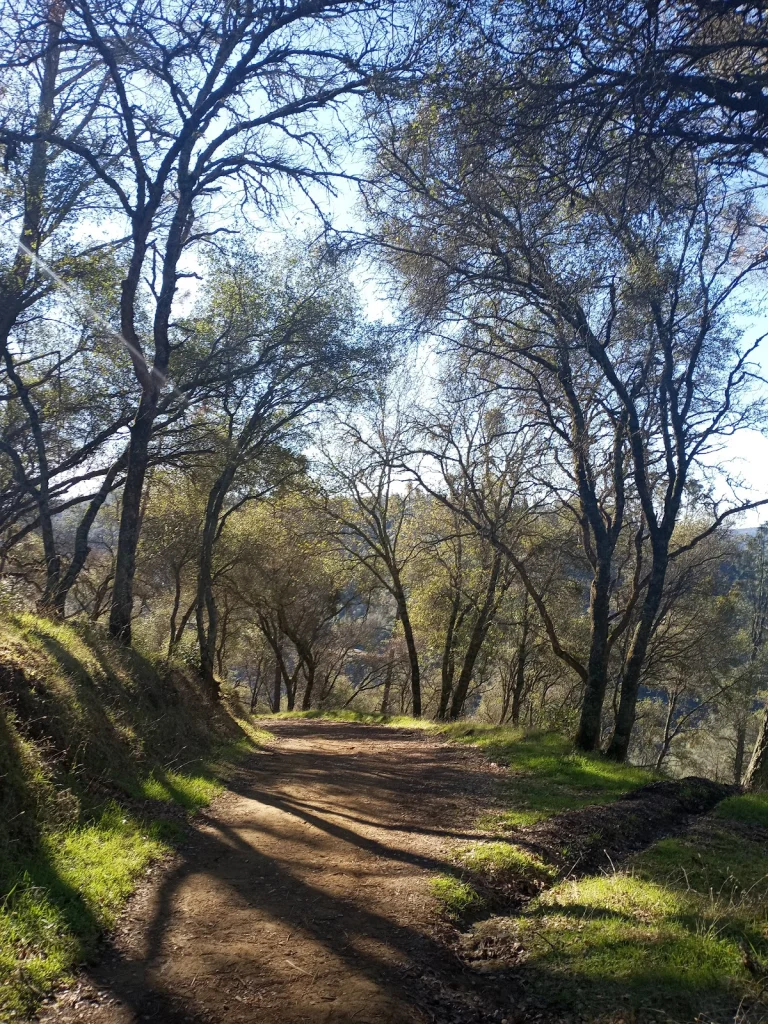 Robie Point Firebreak trail — Google Places photo