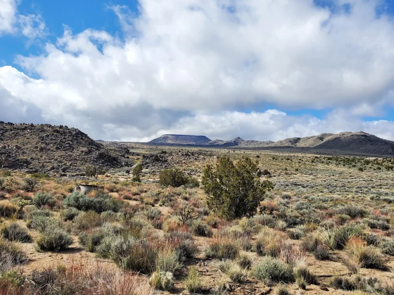 Rock Spring Loop Trail, a dog-friendly hiking trail in Nipton, California