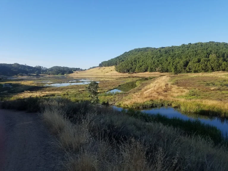 Rush Creek Open Space Preserve, a dog-friendly hiking trail in Novato, California