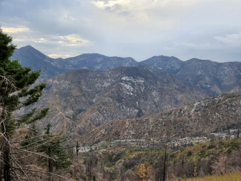 San Gabriel Mountains National, a dog-friendly hiking trail in Ontario, California