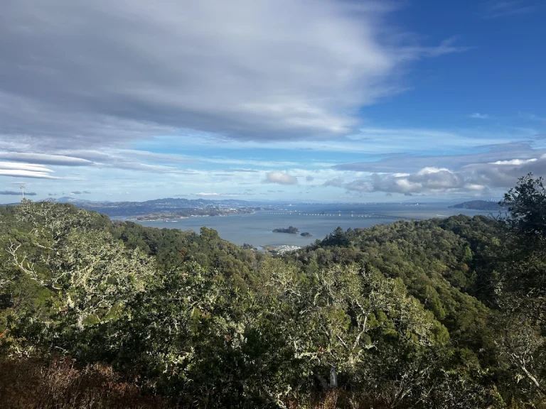 San Pedro Mountain, a dog-friendly hiking trail in San Rafael, California