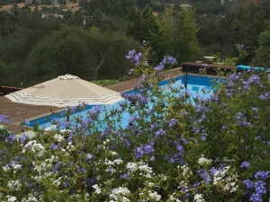Sandra D’s Country B&B