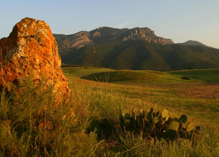 Boney Mountain at sunset with rock and cactus in foreground.