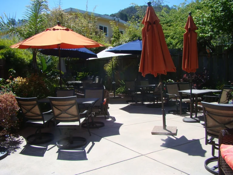Saylor's Restaurant, a dog-friendly restaurant in Sausalito, California