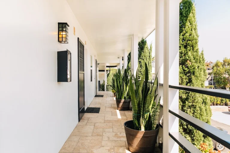 Seaside Laguna Inn & Suites, a dog-friendly hotel in Laguna Beach, California