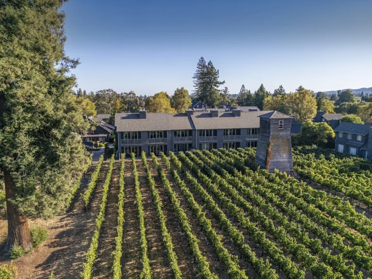 Senza Hotel, a dog-friendly hotel in Napa, California