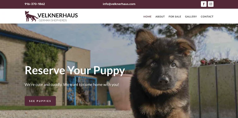 ShepHeroes, a dog-friendly animal rescue in West Sacramento, California