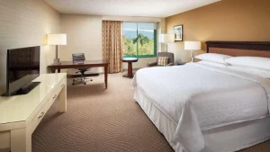 Sheraton San Jose Silicon