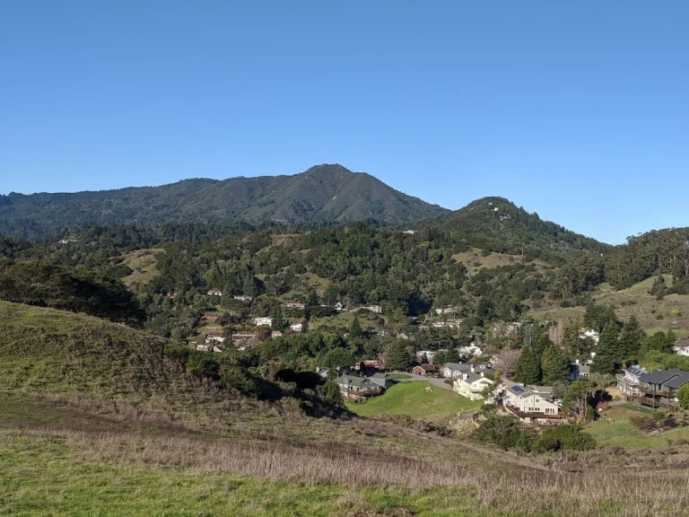 Shoreline Access Path, a dog-friendly accessible destination in Mill Valley, California
