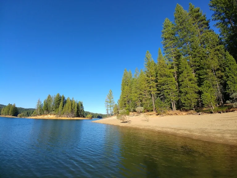 Shoreline Hike at Sly Park, a dog-friendly campground in Pollock Pines, California