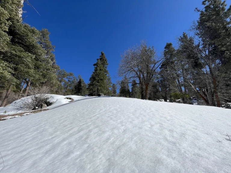 Skyline Trail 2N10 Public Access