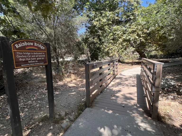 South Buena Vista Dog Park