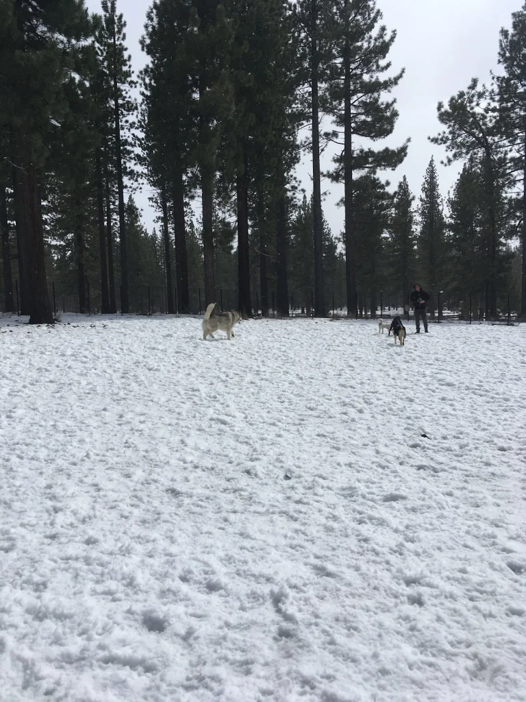 Bijou Dog Park