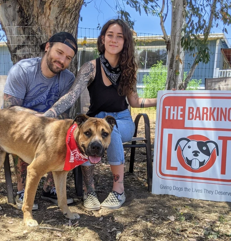 The Barking Lot, a dog-friendly animal rescue in Ramona, California