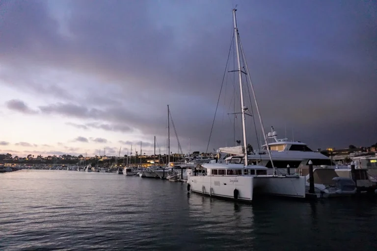 The Fun Zone Boat Company, a dog-friendly boating destination in Balboa, California