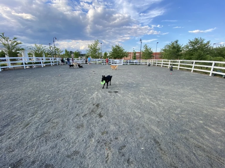 The Park Dog Park, a dog-friendly dog park in Orange County, California