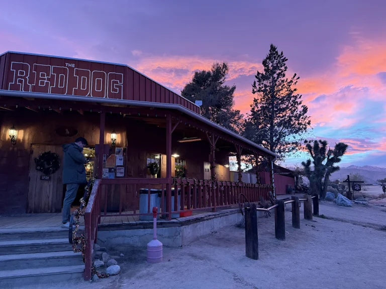 The Red Dog Saloon Google Places photo