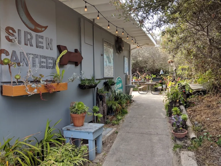 The Siren Canteen, a dog-friendly restaurant in Stinson Beach, California
