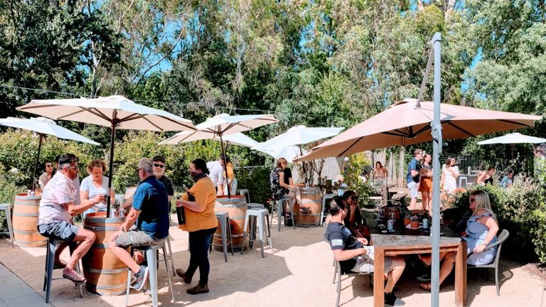 Three Fat Guys Winery, a dog-friendly winery in Sonoma, California