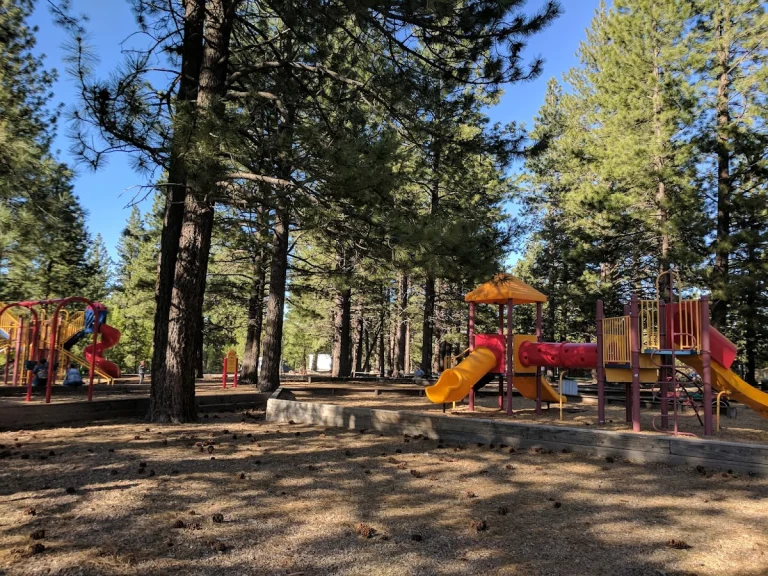 Truckee River Regional Park, a dog-friendly park in Truckee, California