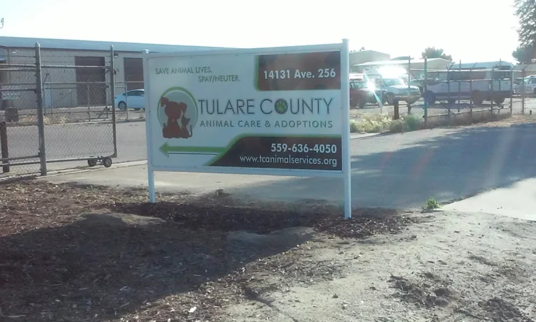Tulare County Animal Services, a dog-friendly animal rescue in Tulare, California